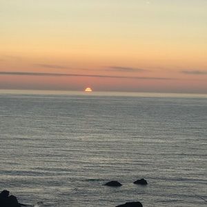 Meet your Posher, Mia